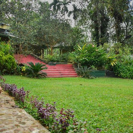 Blue Magpie Lodge Sinharaja Kudawe Zewnętrze zdjęcie