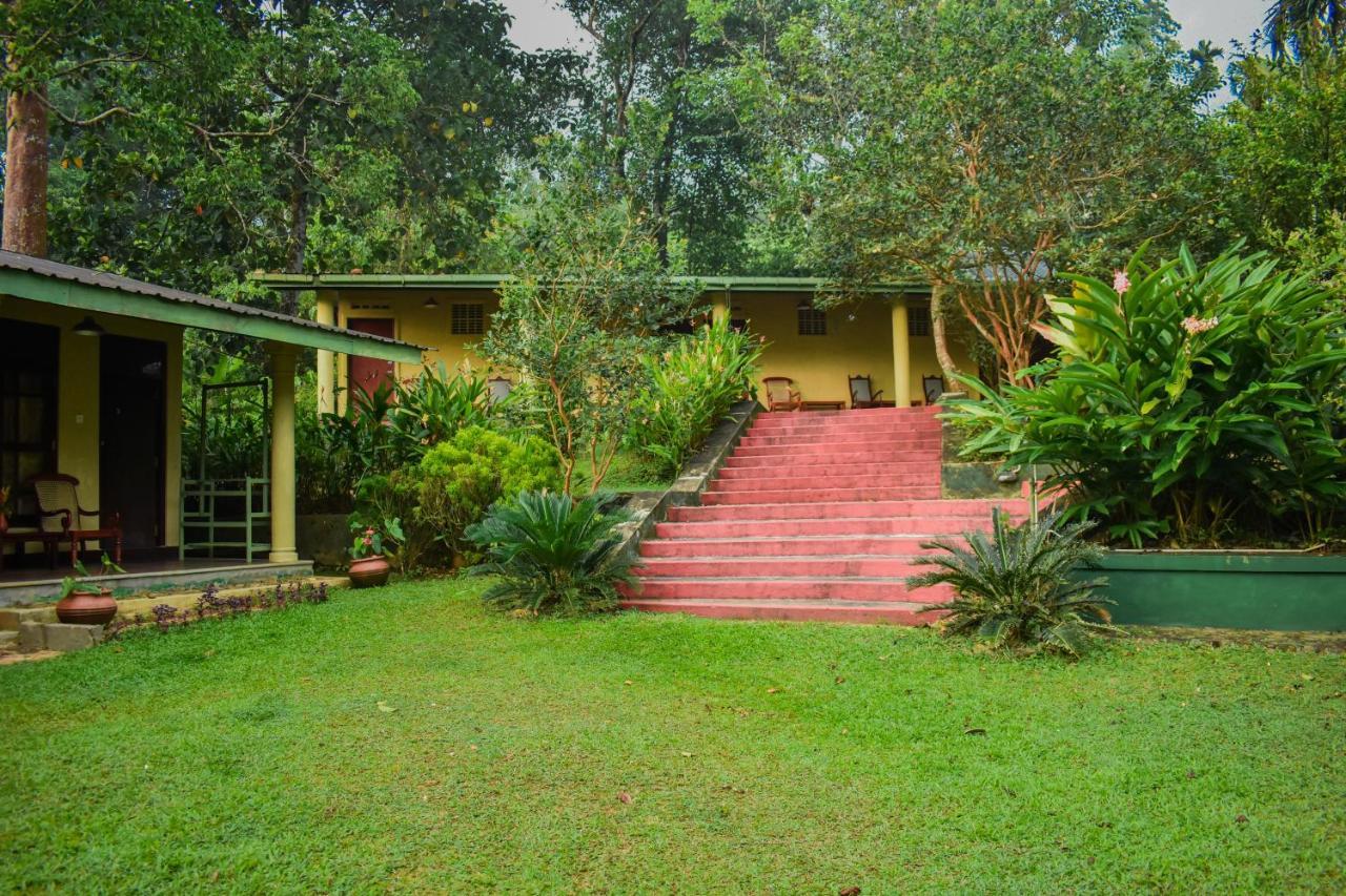 Blue Magpie Lodge Sinharaja Kudawe Zewnętrze zdjęcie