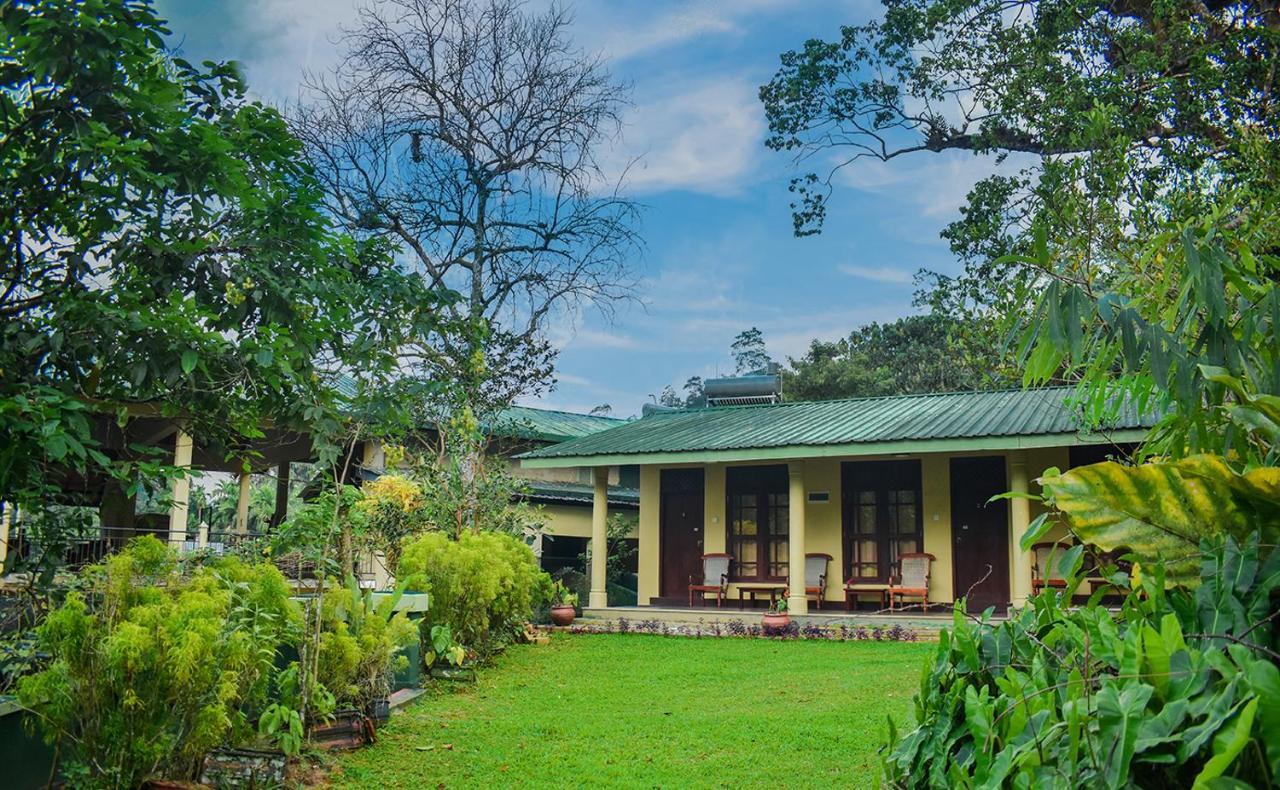 Blue Magpie Lodge Sinharaja Kudawe Zewnętrze zdjęcie