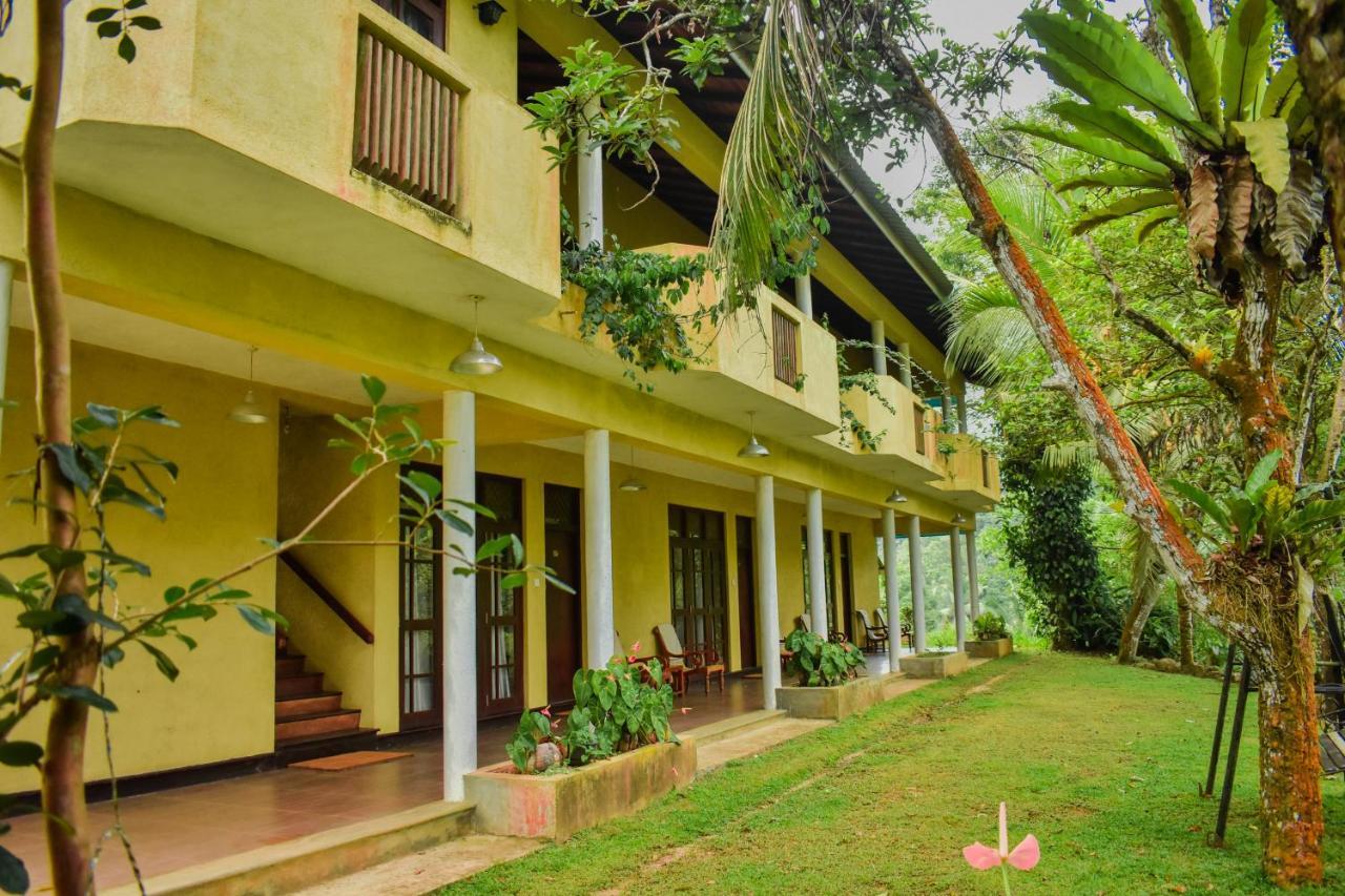 Blue Magpie Lodge Sinharaja Kudawe Zewnętrze zdjęcie
